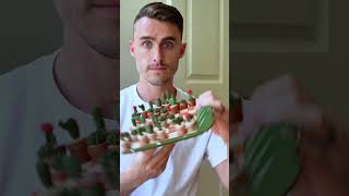This Cactus is a Chess Set