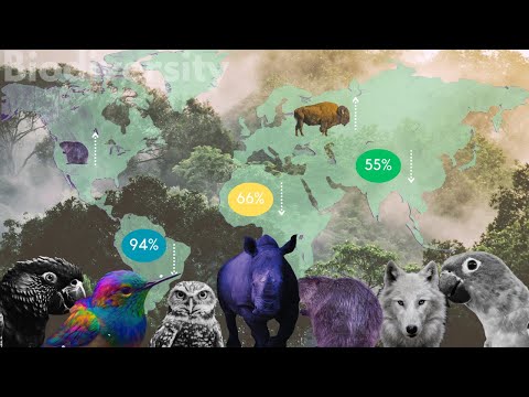 Where is wildlife loss at right now?!