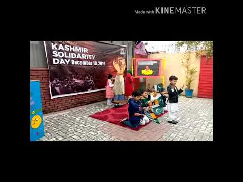Kashmir solidarity day #best performance