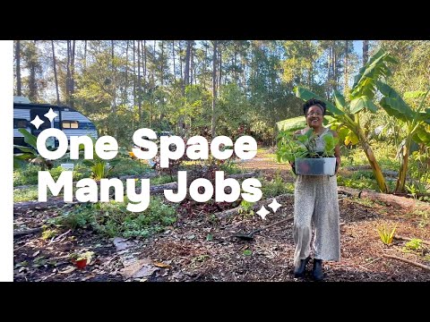 I Built a New Food Forest Guild! (Permaculture Principle #8)