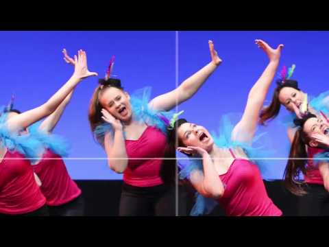 PSSC - 2017 Highlights