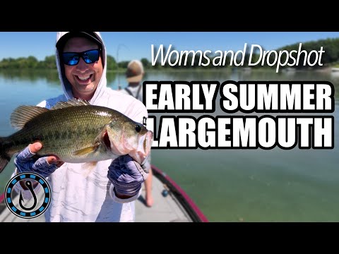 Catching Largemouth Bass: Texas Rig and Drop Shot Fishing Techniques