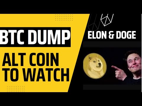 BTC dump, ELON & Doge Pump coming!!