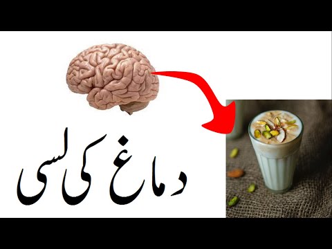 Things that damage brain?(urdu/hindi)