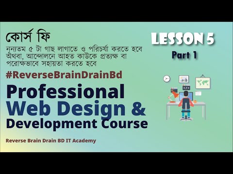 Are You Making These HTML CSS Mistakes in 2024? LESSON 5 PART 1 : Reverse Brain Drain BD IT Academy
