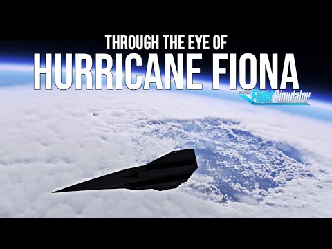 I wasn't expecting such detail | Darkstar | Microsoft Flight Simulator