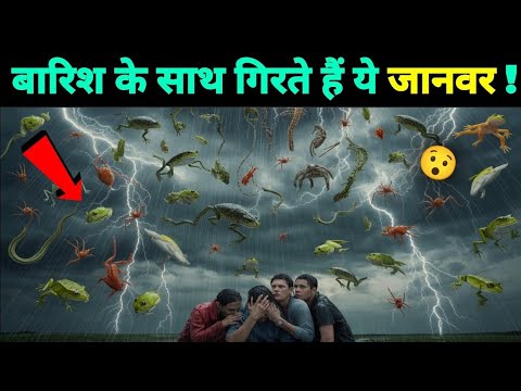 देखलो पानी के साथ जानवरों की भी बारिश | Rained Animals Along With Water🤯