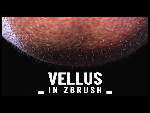 Vellus hair in Zbrush (peach fuzz)