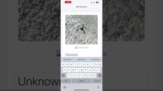 SwiftData app development with an into into using the iOS photo picker. #swiftdevelopment #ios
