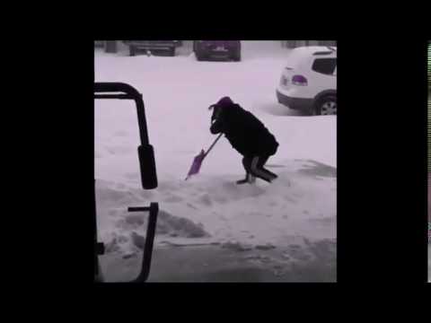 Canadian Winters in Canada