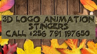 3D LOGO ANIMATIONS STINGER SERVICES KAMPALA,UGANDA