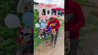 Happy bail pola 🐂#shorts #trending #pola #bail #gaon #kisan #youtubeshorts#2025