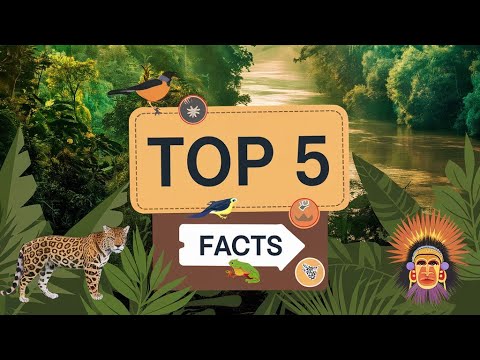 amazon jungle fact video #jungle #shorts #trending #viralvideo #viralshorts #world #amazonrainforest