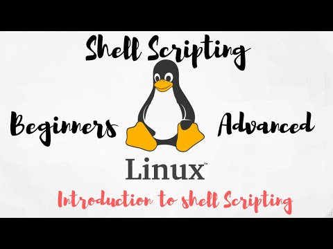 Shell Scripting | Introduction to shell scripting | Beginners to Advance #1