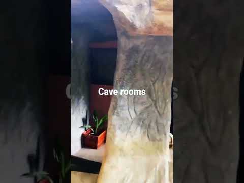 Coorg different stay