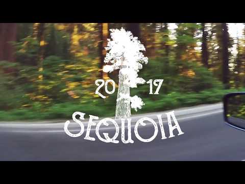 Grizwaldians Summer of 2017 - Sequoia National Park