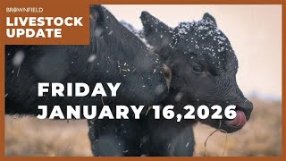 USDA raises cattle prices $12 for 2026 | Weekly Livestock Market Update