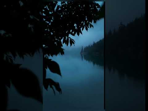 Tum hi aana.... ❤ #music #backgroundmusic #nocopyrightmusic #shorts