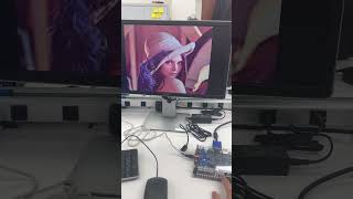 FPGA Implementation of 2D Gaussian Blur Filter for Image Processing