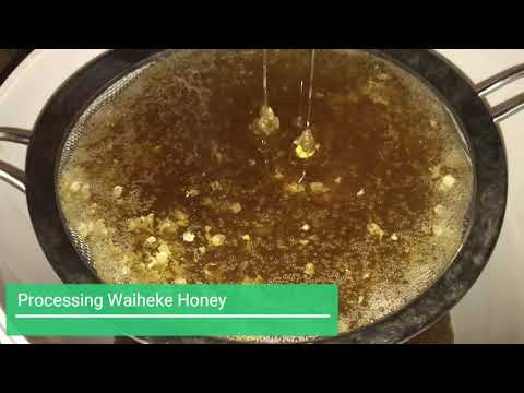 Processing Waiheke Honey