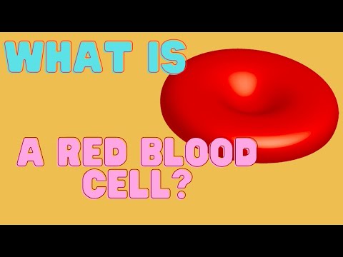 Biology VC | Red Blood Cells