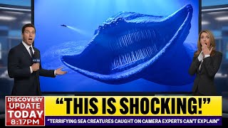 Terrifying Sea Creatures Caught On Camera Experts Can't Explain – Scientists Are Shocked!