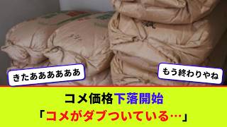 コメ価格下落開始　「コメがダブついている…」【2chまとめ】【2chスレ】【5chスレ】
