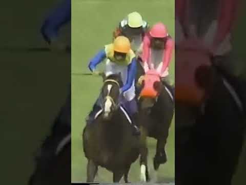 母と娘が13年の時を超えて、ターフに夢を紡ぎました。