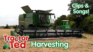 The GIGANTIC Combine Harvester & Other Harvesting Machines 🚜🌾 Tractor Ted Clips & Songs