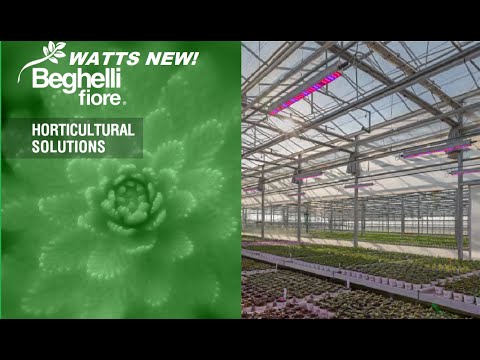 WATTS NEW! Beghelli Fiore Horticulture Lighting Solutions