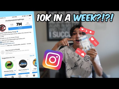 How To Grow An Instagram Meme Page FAST (New Strategies)