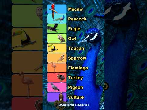 10 Beautiful Birds to Boost Your English!