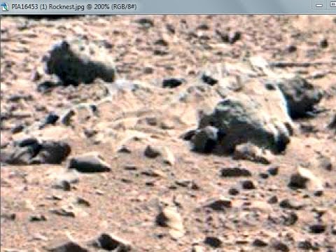 Mars Anomalies ◄ NASA Image Reveals Skeletal Horse Remains On Mars★★★