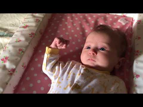 Bump To Baby (Rachel Watt)