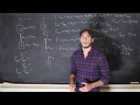 Example/ Newton's Laws of Motion/ Physics