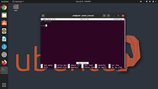 How to write the basic hello world script for shell