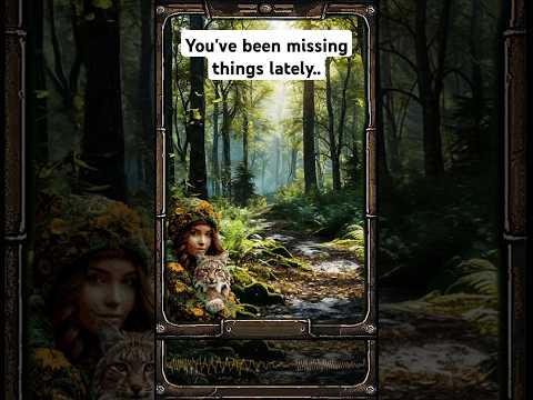 Walk Slowly, See Everything 🍃 | Forest Keeper’s Advice #shorts #lofivibes
