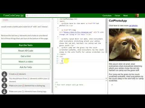[15] Create a Bulleted Unordered List