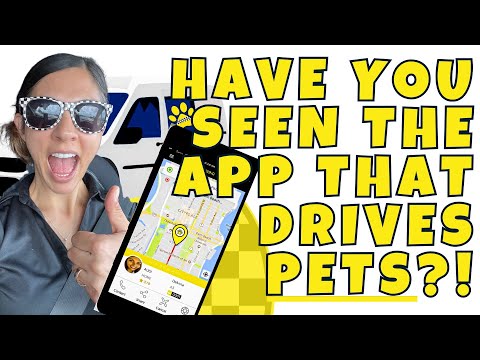 It's An App That Drives Pets! 🐾📲