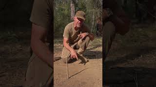 Solar Navigation: (Shadow Stick - Short Method) - Bushcraft Survival Australia