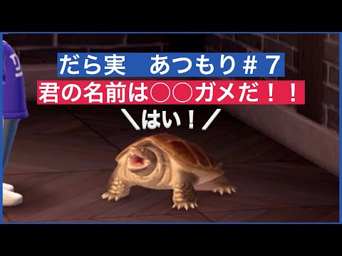 だら実『あつまれ どうぶつの森』＃７