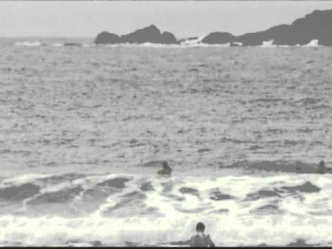 Whale surfaces at O'Neill Cold Water Classic Canada in Tofino