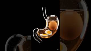 3D motion Graphics in blender 4.2