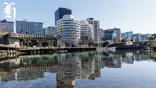 Wellington economy shrinks as equivalent of 177 businesses closing down | Herald NOW