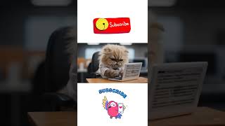 frustrated software cat #catlovers #softwarecat #tomlove #kidzmate