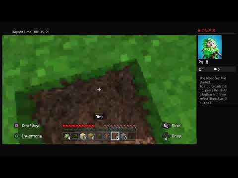 Mincraft