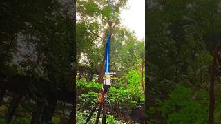 Cutting trees with Powerful Laser.