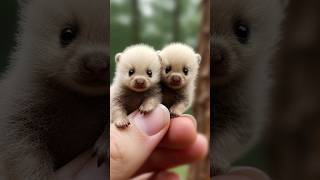 8 Cute Sibling Micro Animals 😍 Part 3 #animals #pets