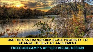 freeCodeCamp's Use the CSS Transform scale Property to Change the Size of an Element
