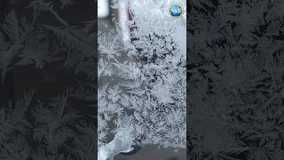 Is it Possible to Stop Frost from Forming? #shorts #science #frost